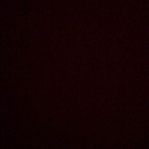 Meet your Posher, Patty